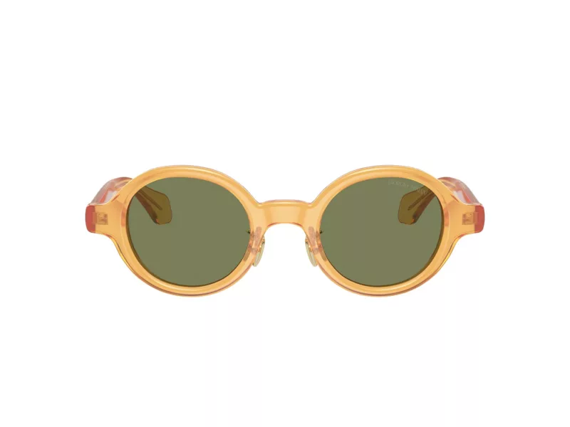 Giorgio Armani AR 8205 60632A 46 Férfi napszemüveg