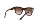 Dolce & Gabbana DG 4384 502/13 53 Női napszemüveg