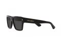 Dolce & Gabbana DG 4431 501/87 55 Férfi napszemüveg