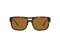Emporio Armani EA 4197 587983 57 Férfi napszemüveg