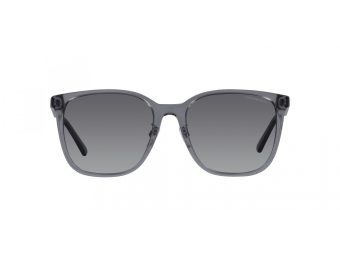 Emporio Armani EA 4206D 5029T3 57 Férfi napszemüveg