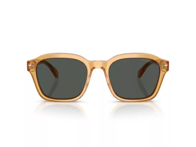 Emporio Armani EA 4245U 624687 54 Férfi napszemüveg