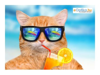 Szemüveg törlőkendő