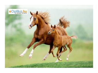 Szemüveg törlőkendő