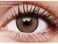 ColourVUE Lumina Shinning Brown (2 db) , kiemelő, 3 havi kontaktlencse
