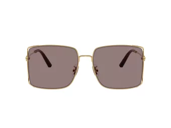 Coach Cw429 HC 7174D 94417N 59 Női napszemüveg