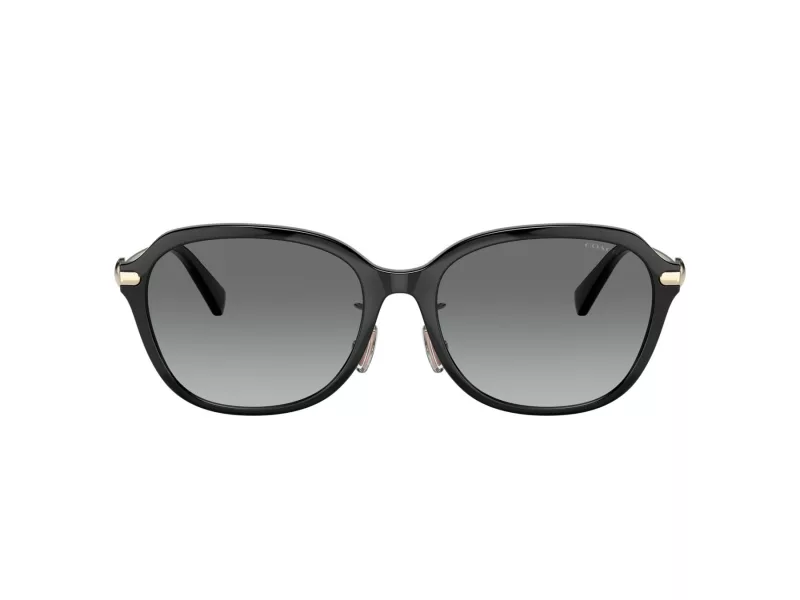 Coach C6199 HC 8332D 500211 56 Női napszemüveg