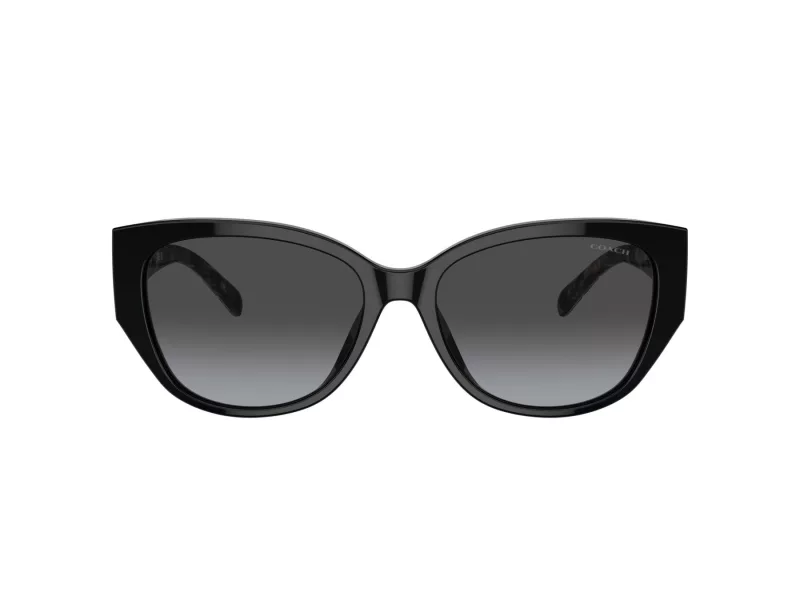 Coach Ch563 HC 8362U 50028G 57 Női napszemüveg