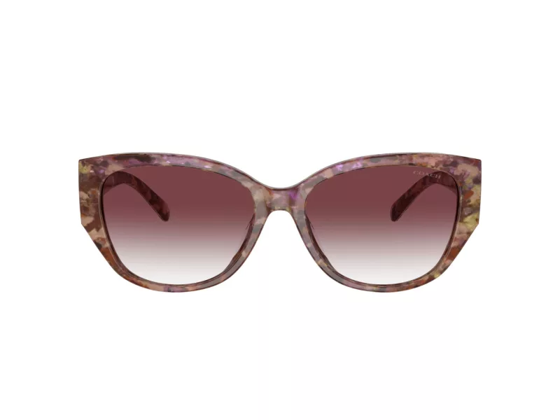 Coach Ch563 HC 8362U 57398H 57 Női napszemüveg