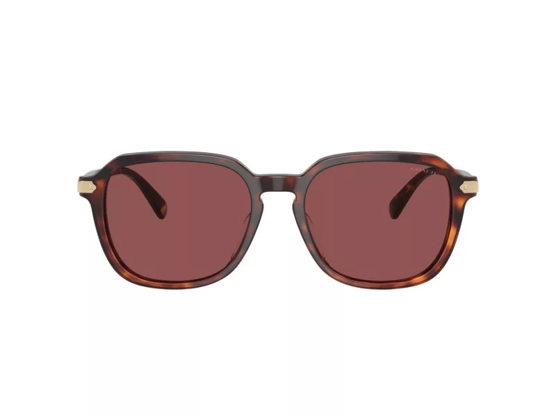 Coach Cl912 HC 8383U 579875 55 Férfi napszemüveg