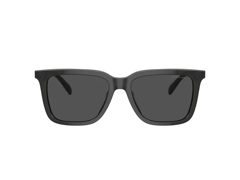 Coach Cl910 HC 8385U 579387 54 Férfi napszemüveg
