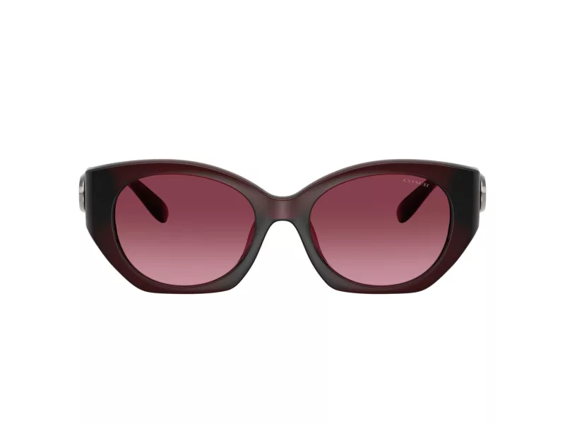 Coach Cw194 HC 8407U 53938H 52 Női napszemüveg