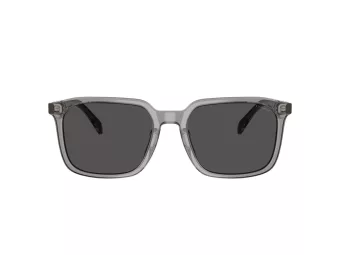 Coach Cw405 HC 8411U 584987 55 Férfi napszemüveg