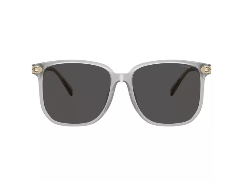 Coach Cw419 HC 8413BD 561487 58 Női napszemüveg