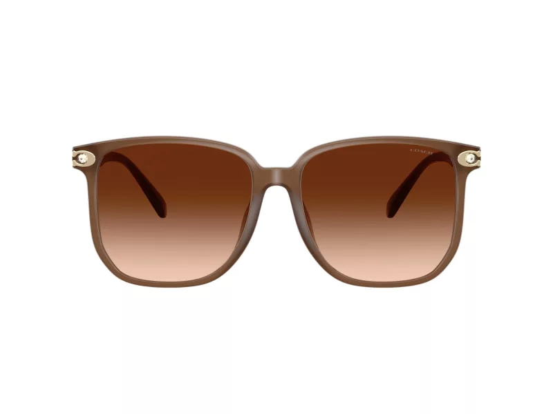 Coach Cw419 HC 8413BD 580874 58 Női napszemüveg