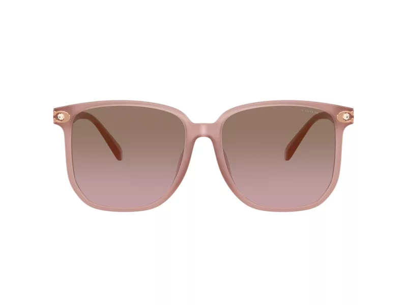 Coach Cw419 HC 8413BD 583914 58 Női napszemüveg