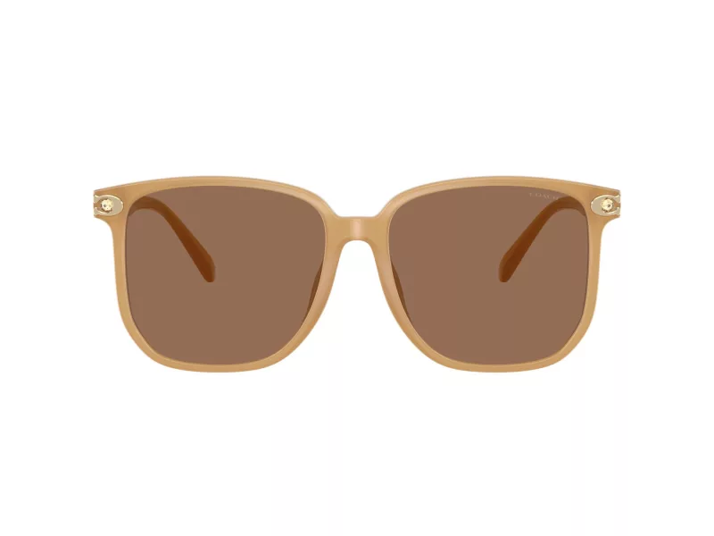 Coach Cw419 HC 8413BD 585473 58 Női napszemüveg