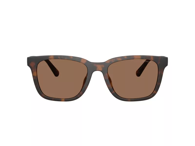 Coach Cad81 HC 8426U 512073 54 Férfi napszemüveg