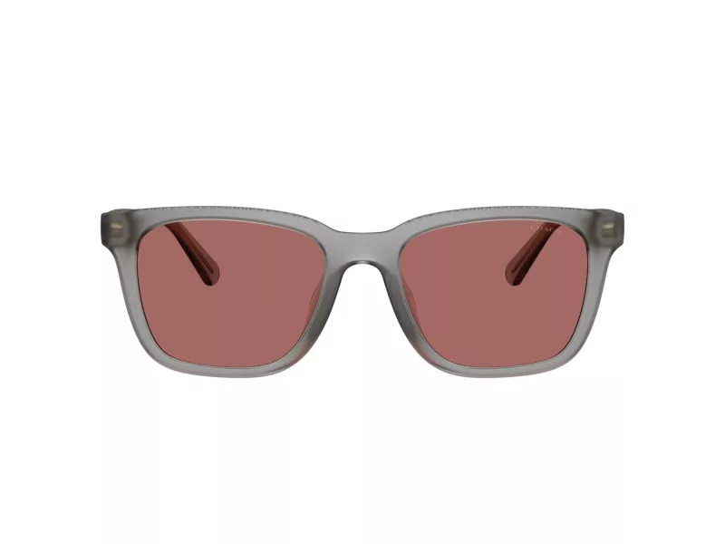 Coach Cad81 HC 8426U 58750H 54 Férfi napszemüveg