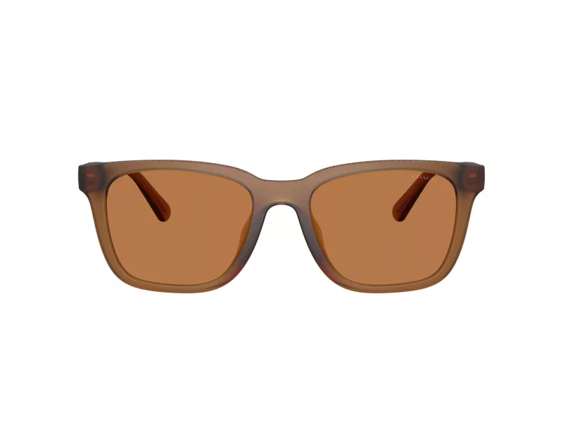 Coach Cad81 HC 8426U 587673 54 Férfi napszemüveg