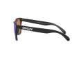 Oakley Frogskins OO 9013 H6 55 Férfi napszemüveg