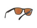 Oakley Frogskins OO 9013 H6 55 Férfi napszemüveg