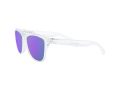 Oakley Frogskins OO 9013 H7 55 Férfi napszemüveg