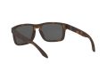Oakley Holbrook OO 9102 F4 57 Férfi napszemüveg
