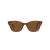 Ray-Ban RB 0880S 664057 52 Férfi, Női napszemüveg
