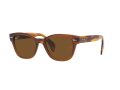 Ray-Ban RB 0880S 664057 52 Férfi, Női napszemüveg