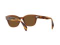 Ray-Ban RB 0880S 664057 52 Férfi, Női napszemüveg