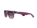 Ray-Ban New Wayfarer RB 2132 6606M3 52 Férfi, Női napszemüveg