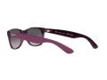 Ray-Ban New Wayfarer RB 2132 6606M3 52 Férfi, Női napszemüveg