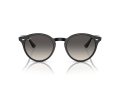 Ray-Ban RB 2180 601/11 49 Férfi, Női napszemüveg
