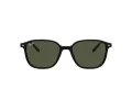 Ray-Ban Leonard RB 2193 901/31 53 Férfi, Női napszemüveg