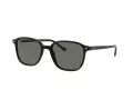 Ray-Ban Leonard RB 2193 901/58 53 Férfi, Női napszemüveg