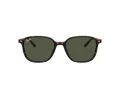 Ray-Ban Leonard RB 2193 902/31 53 Férfi, Női napszemüveg