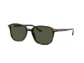 Ray-Ban Leonard RB 2193 902/31 53 Férfi, Női napszemüveg