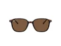 Ray-Ban Leonard RB 2193 902/57 53 Férfi, Női napszemüveg