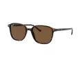 Ray-Ban Leonard RB 2193 902/57 53 Férfi, Női napszemüveg