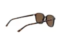 Ray-Ban Leonard RB 2193 902/57 53 Férfi, Női napszemüveg