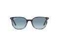 Ray-Ban Elliot RB 2197 13563M 52 Férfi, Női napszemüveg