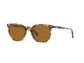 Ray-Ban Elliot RB 2197 135757 50 Férfi, Női napszemüveg