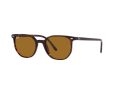 Ray-Ban Elliot RB 2197 902/33 52 Férfi, Női napszemüveg