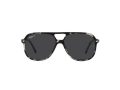 Ray-Ban Bill RB 2198 133348 60 Férfi, Női napszemüveg