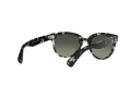 Ray-Ban Orion RB 2199 133371 52 Férfi, Női napszemüveg
