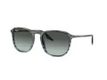 Ray-Ban RB 2203 1391GK 55 Férfi, Női napszemüveg
