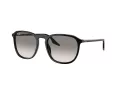 Ray-Ban RB 2203 901/32 55 Férfi, Női napszemüveg