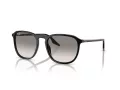 Ray-Ban RB 2203 901/32 55 Férfi, Női napszemüveg