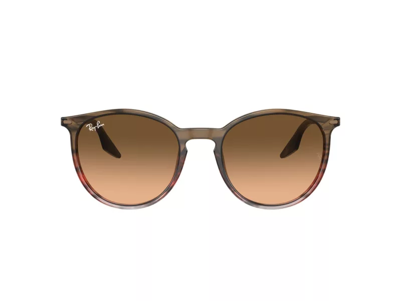 Ray-Ban RB 2204 13953B 51 Férfi, Női napszemüveg